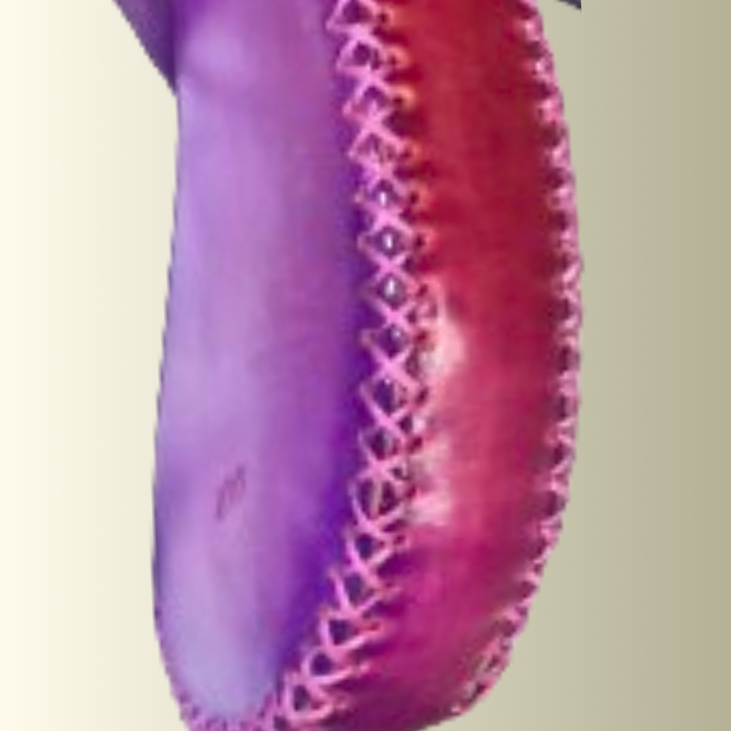 Classic Eggplant Coin Purse
