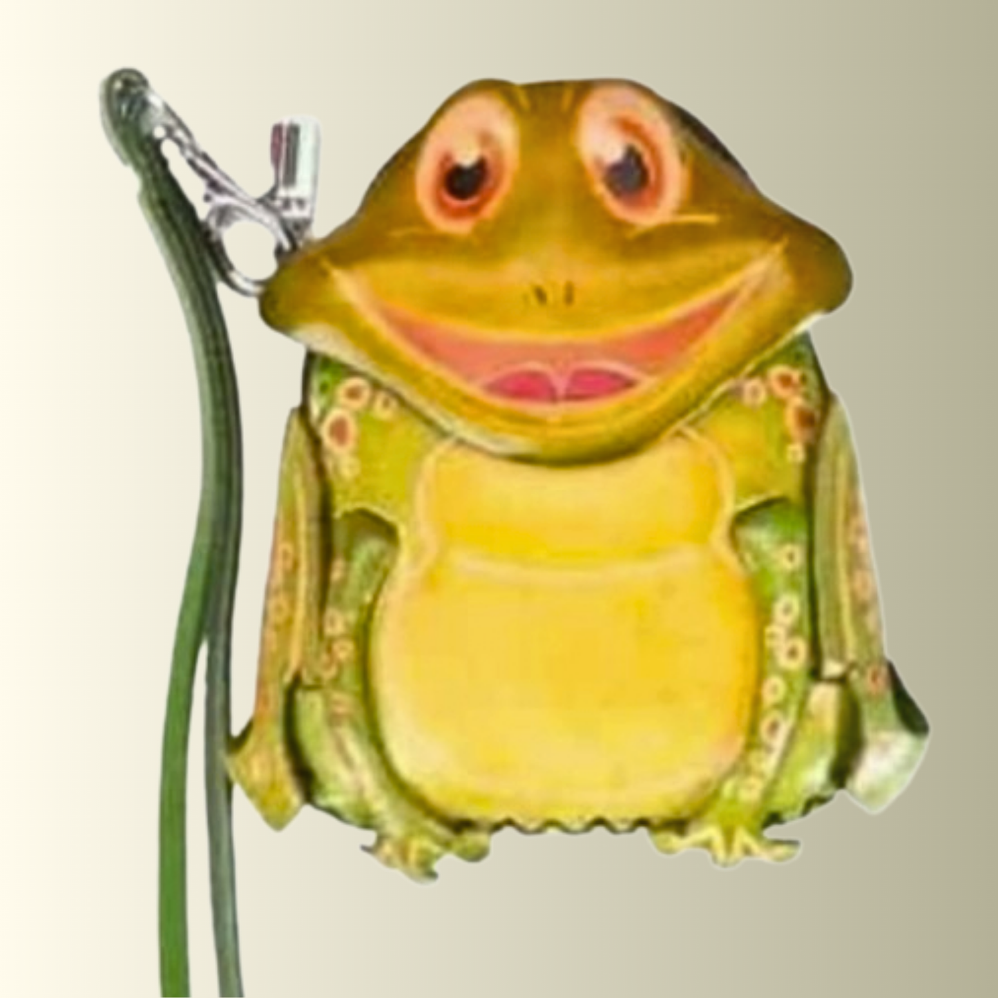 Smiling Frog Coin Purse